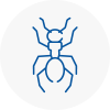 Ant Removals In Aylesford