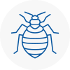 Bed Bug Extermination In Aylesford