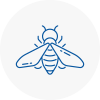 Bee Nest Removal Aylesford