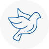 Bird Prevention Aylesford