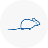 Mice Exterminators In Aylesford