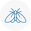 Moth Control Specialists In Aylesford