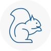 Aylesford Rodent Removals